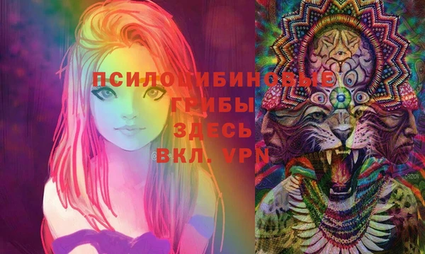 jwh Инта